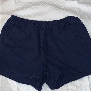 Loft shorts